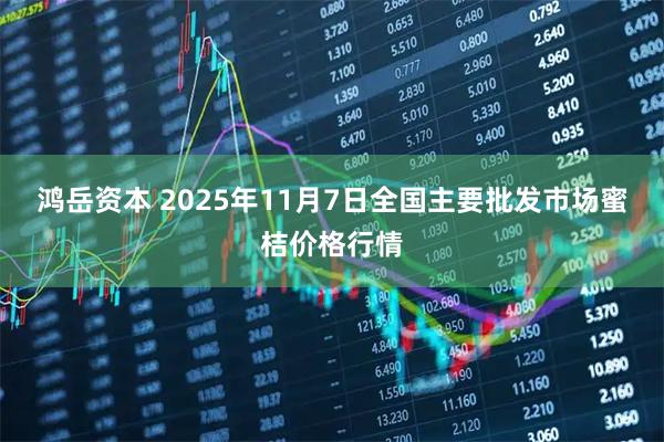 鸿岳资本 2025年11月7日全国主要批发市场蜜桔价格行情